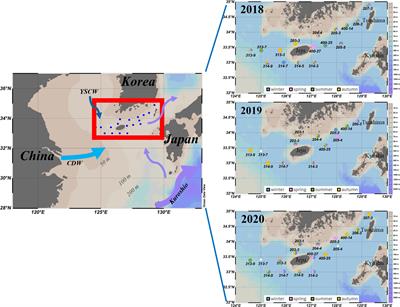 Spatial and temporal distribution of phytoplankton community in relation to environmental factors in the southern coastal waters of Korea